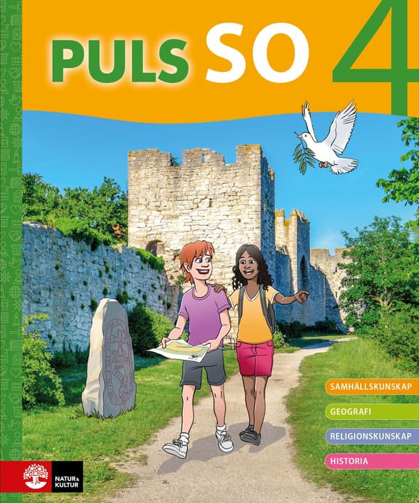 Puls So Åk 4 Peruskirja (Kirja / Sidottu)