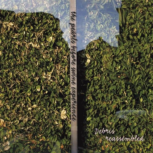 Pearls Before Swine Experience: Debris Reasse... (CD)