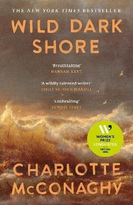 Wild Dark Shore (Bok / Pocket)