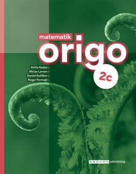 Matematik Origo 2c (Bok / Häftad)