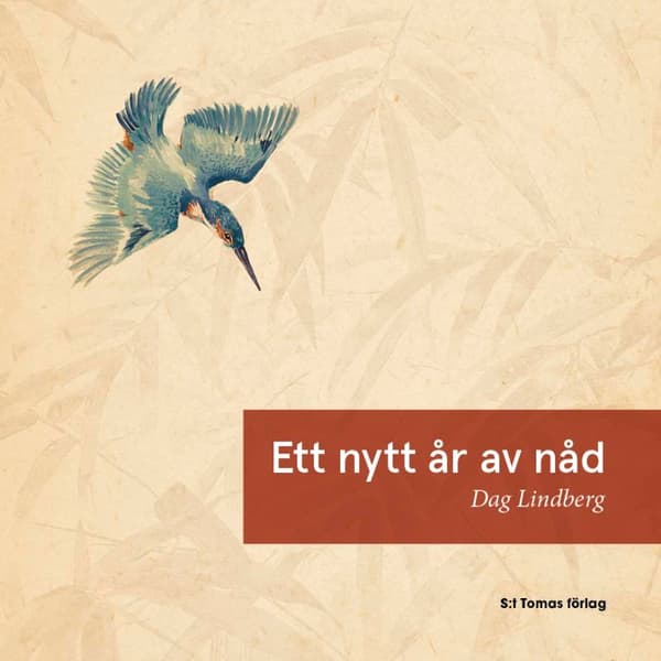Ett Nytt År Av Nåd (Bok / Häftad)