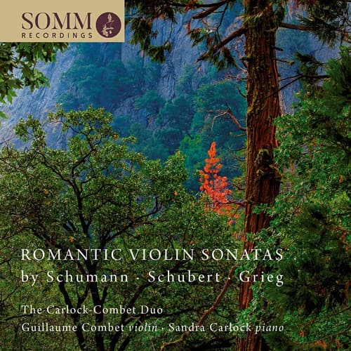 Schumann / Schubert / Grieg: Romantisk Violin... (CD)