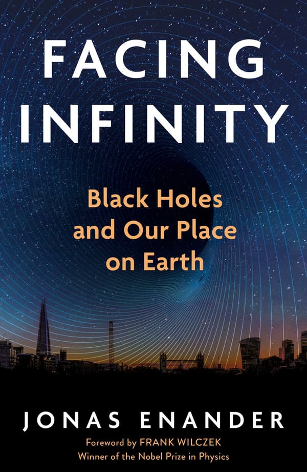 Facing Infinity (Kirja / Pokkari)