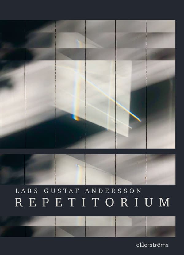 Repetitorium (Bok / Danskt band)