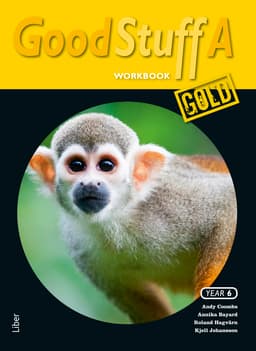 Good Stuff Gold A Workbook (Bok / Häftad)