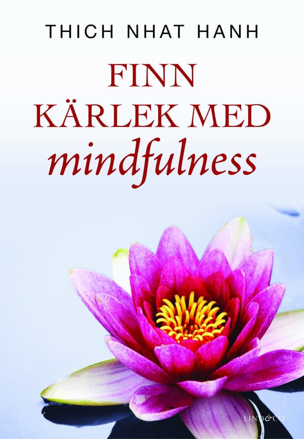 Finn Kärlek Med Mindfulness (Bok / Kartonnage)