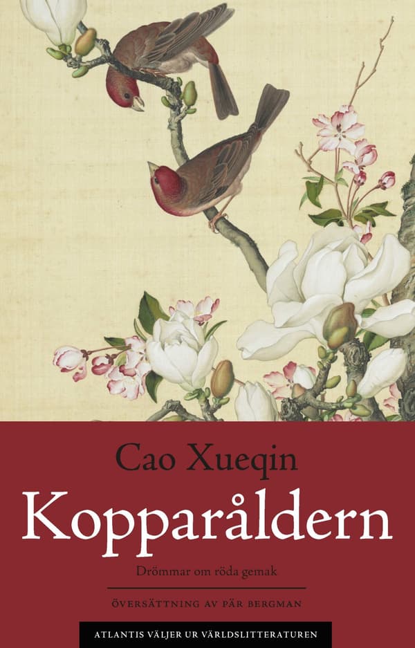 Drömmar Om Röda Gemak 3. Kopparåldern (Bok / Häftad)