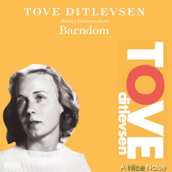 Barndom (Ljudbok / MP3 CD)