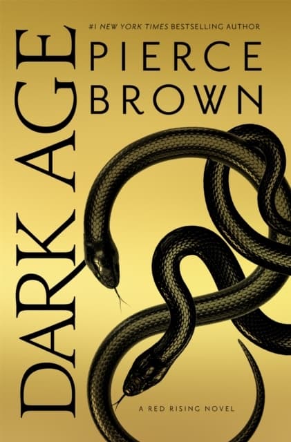 Dark Age (Bok / Pocket)