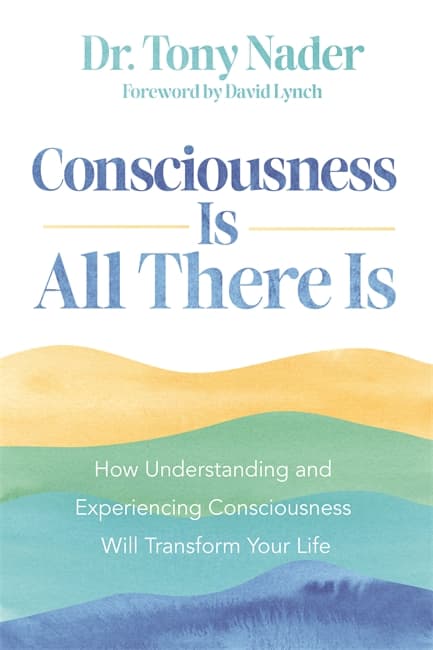 Consciousness is All There Is (Bok / Häftad)