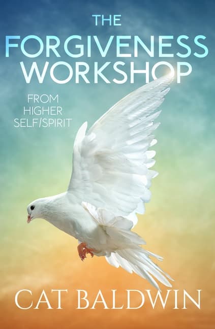 Forgiveness Workshop - From Higher Self/Spirit (Bok / Häftad)