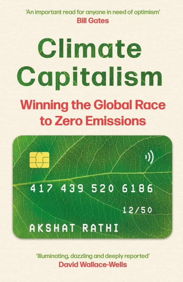 Climate Capitalism (Bok / Pocket)