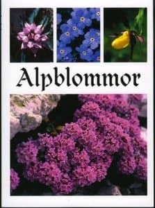 Alpblommor (Bok / Inbunden)