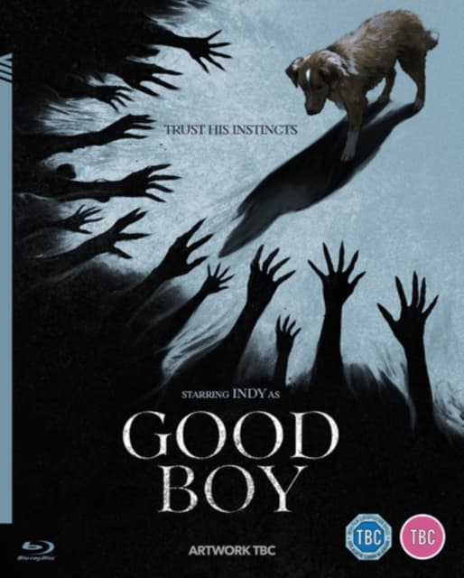 Good Boy (Blu-ray)