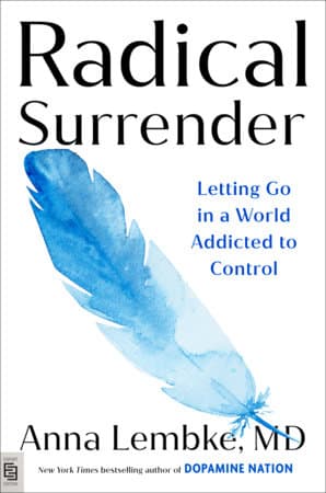 Radical Surrender (Bok / Häftad)