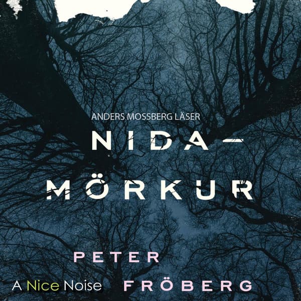 Nidamörkur (Ljudbok / CD)