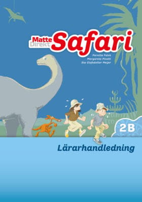 Matte Direkt Safari 2b Lärarhandledning (Bok / Häftad)