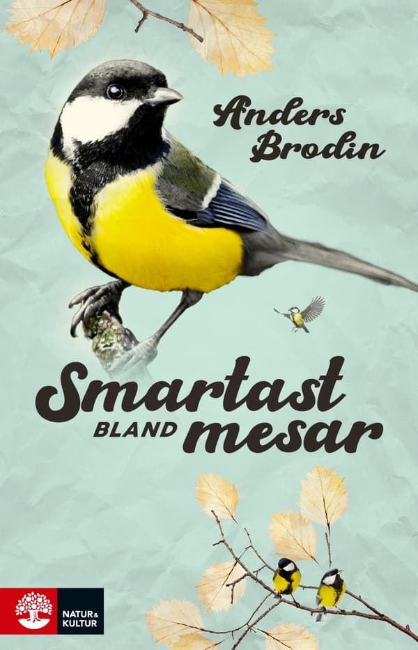 Smartast Bland Mesar (Bok / Pocket)