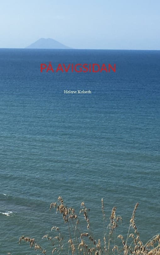 Väärällä puolella (Kirja / Nidottu)