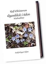 Ögonblick I Tiden - Haikudikter (Bok / Kartonnage)