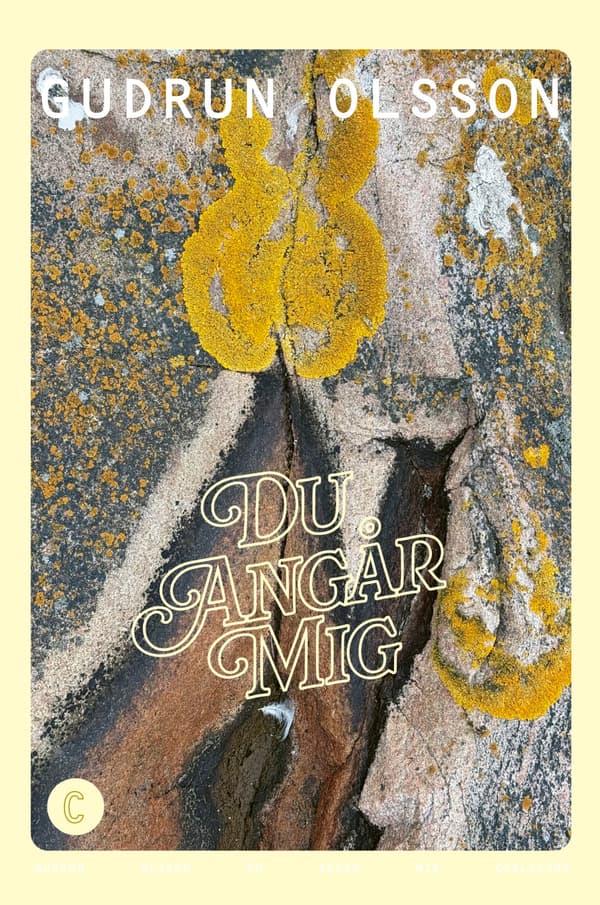 Du Angår Mig (Kirja / Kovakantinen)