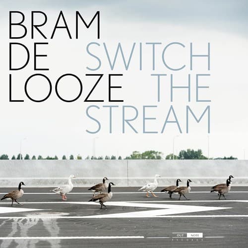 Looze Bram De: Switch The Stream (2 vinyyli-LP)