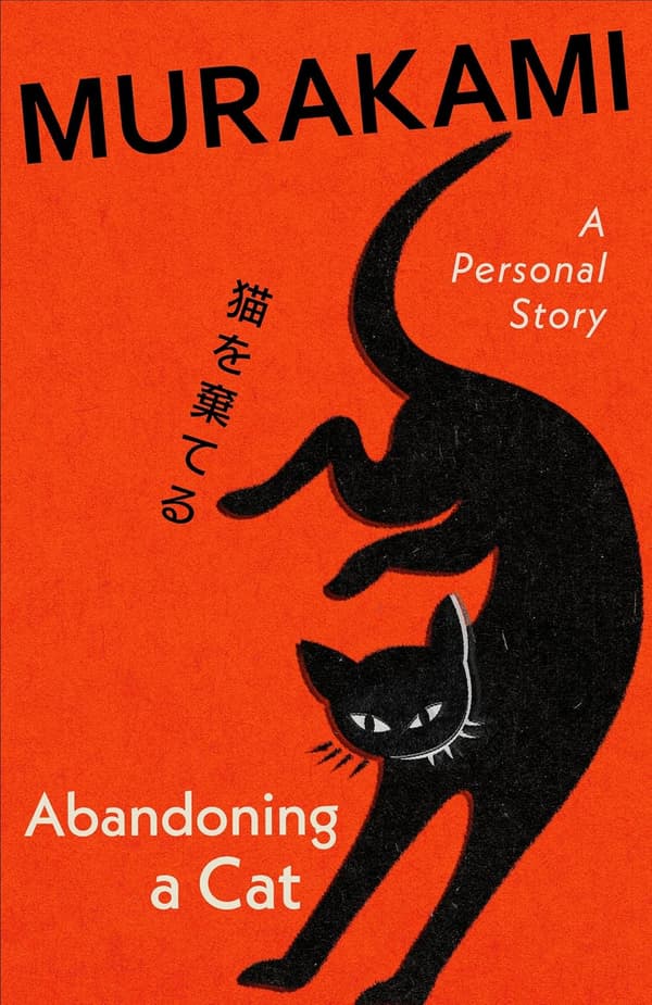 Abandoning a Cat (Bok / Inbunden)