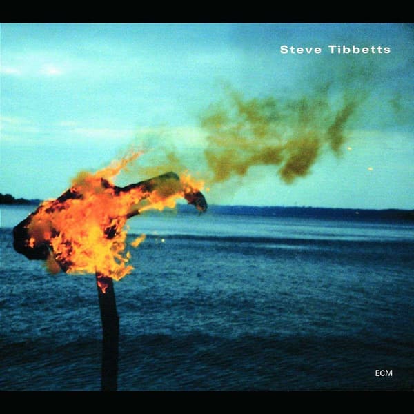 Tibbetts Steve: A Man About A Horse (CD)