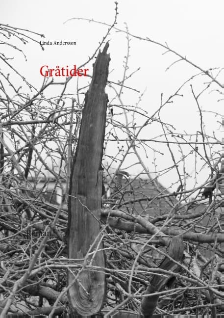 Gråtider (Kirja / Nidottu)