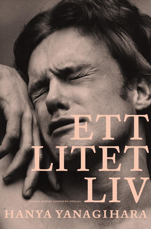 Ett Litet Liv (Bok / Storpocket)
