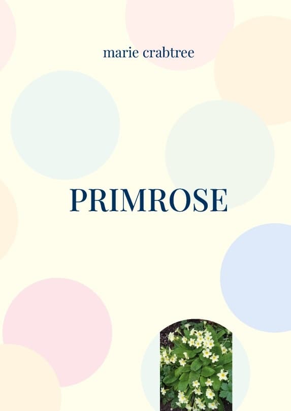 Primrose (Bok / Spiral)