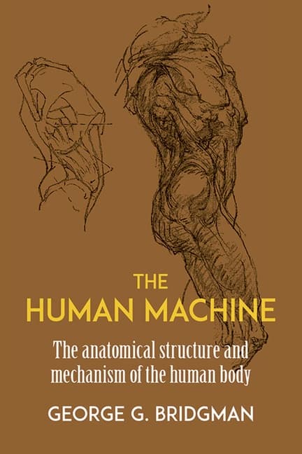 Human Machine (Bok / Häftad)