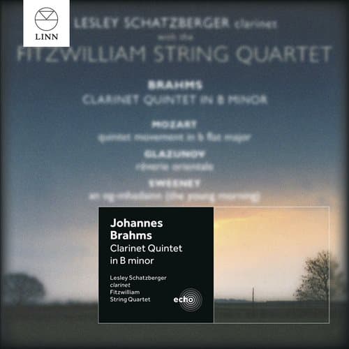 Brahms / Mozart / Glasunow / Sweene: Klarinetti... (CD)