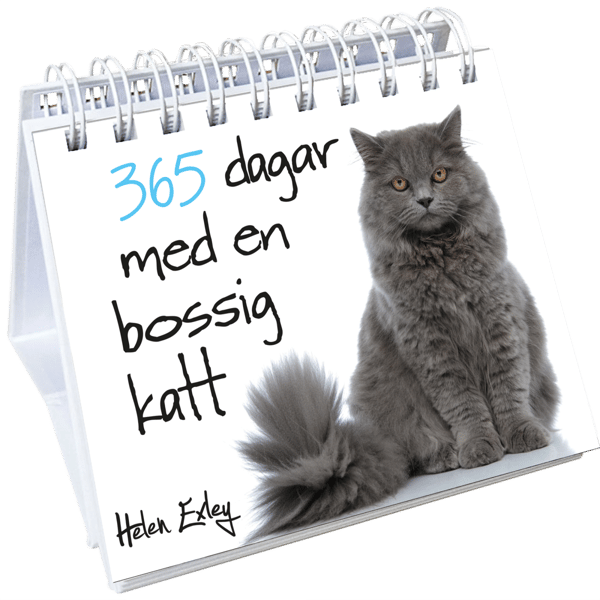 365 Dagar Med En Bossig Katt (Bok / Övrigt)