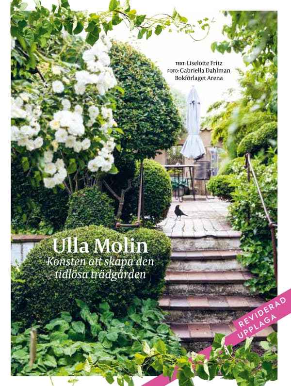 Ulla Molin - Ajaton puutarha (Kirja / Kovakantinen)