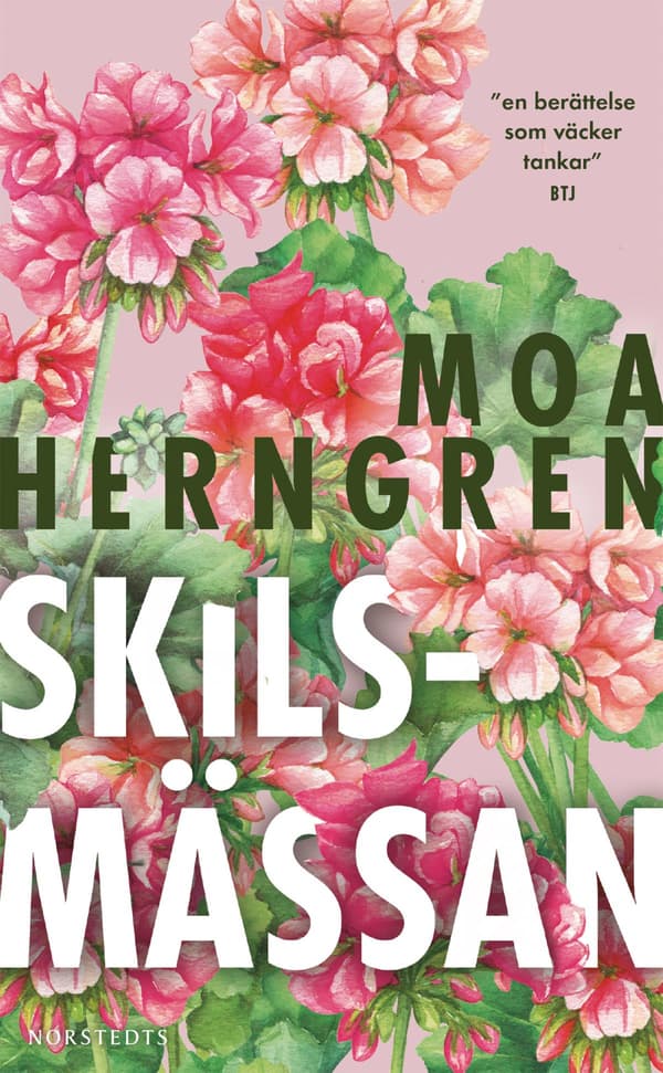 Skilsmässan (Bok / Pocket)