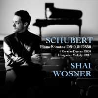 Schubert: Klaversonater (CD)