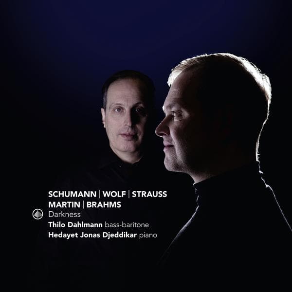 Thilo Dahlmann & Hedayet Jonas Djeddikar: Darkne (CD)