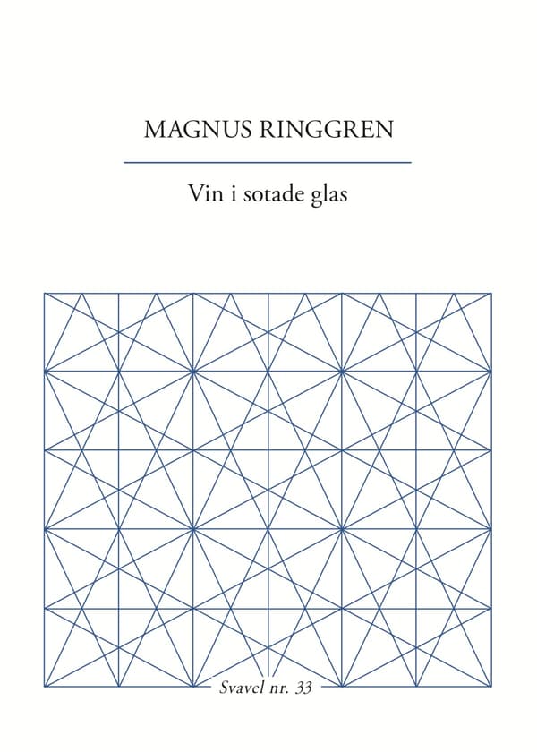 Vin I Sotade Glas (Bok / Övrigt)