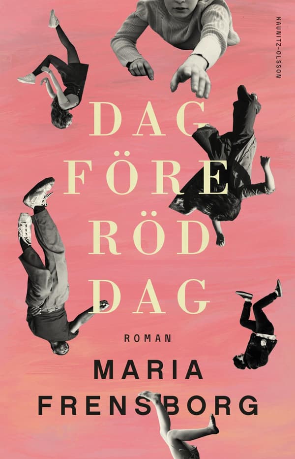 Dag Före Röd Dag (Bok / Pocket)