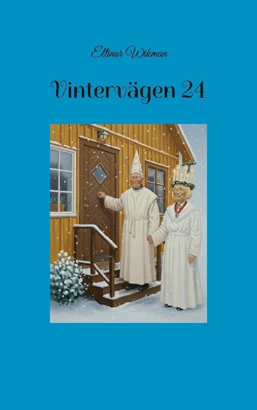 Vintervägen 24 (Kirja / Nidottu)