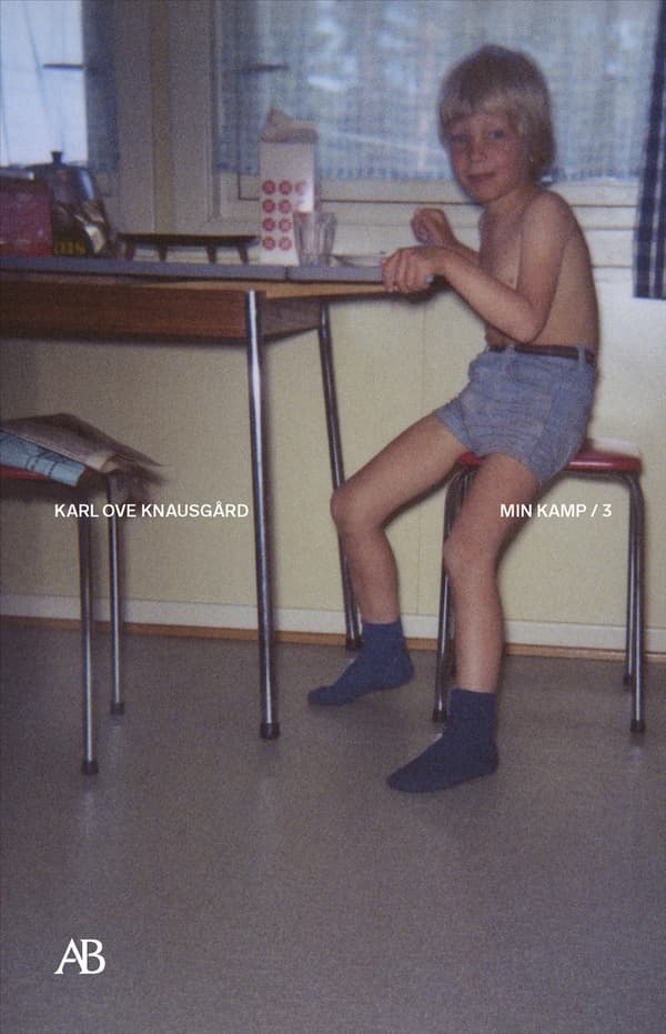 Min Kamp 3 (Bok / Storpocket)