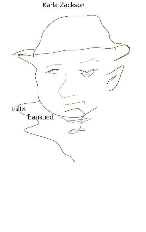 Fallet Lanshed (Bok / Häftad)
