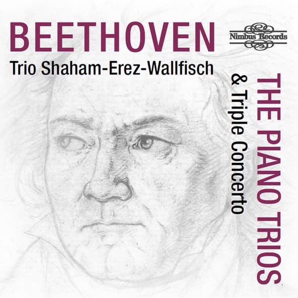 Beethoven: Klavertrioer & Triplekoncert (4 CD)
