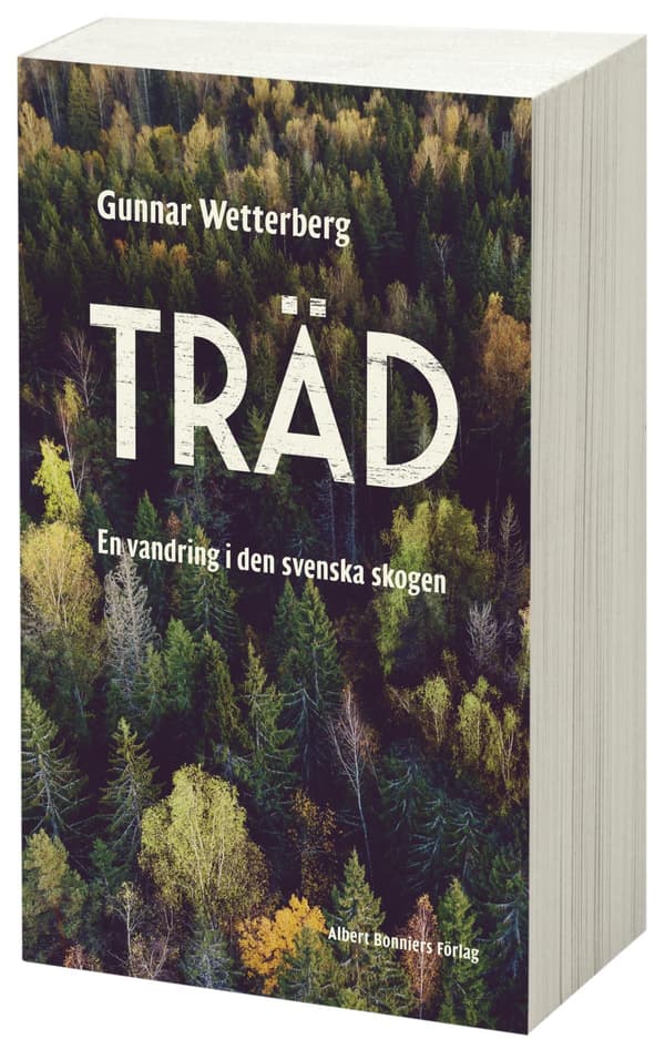 Träd - En Vandring I Den Svenska Skogen (Bok / Storpocket)