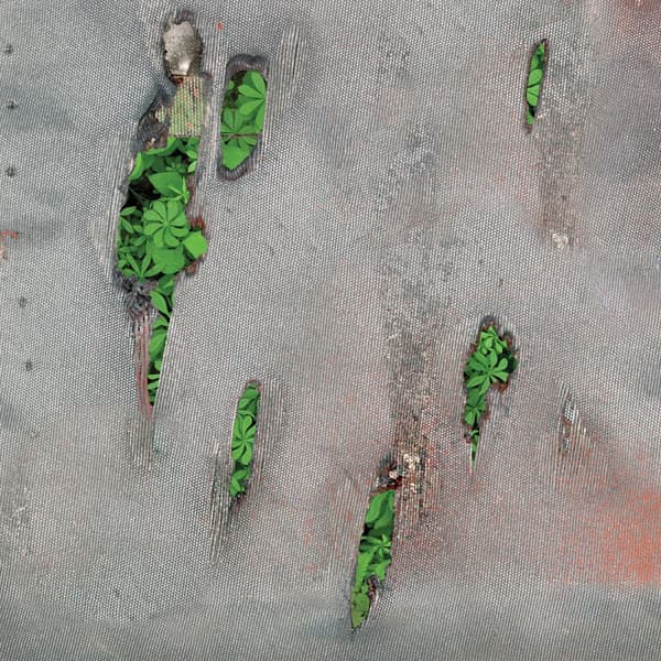 Koreless: Agor (Vinyyli LP)
