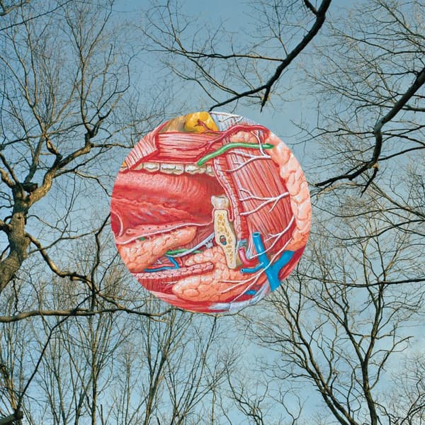 They Might Be Giants: Glean (CD)