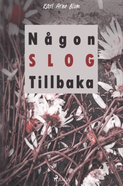 Någon Slog Tillbaka (Bok / Häftad)