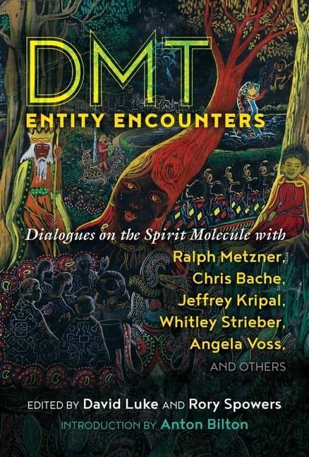 Dmt Entity Encounters (Kirja / Nidottu)