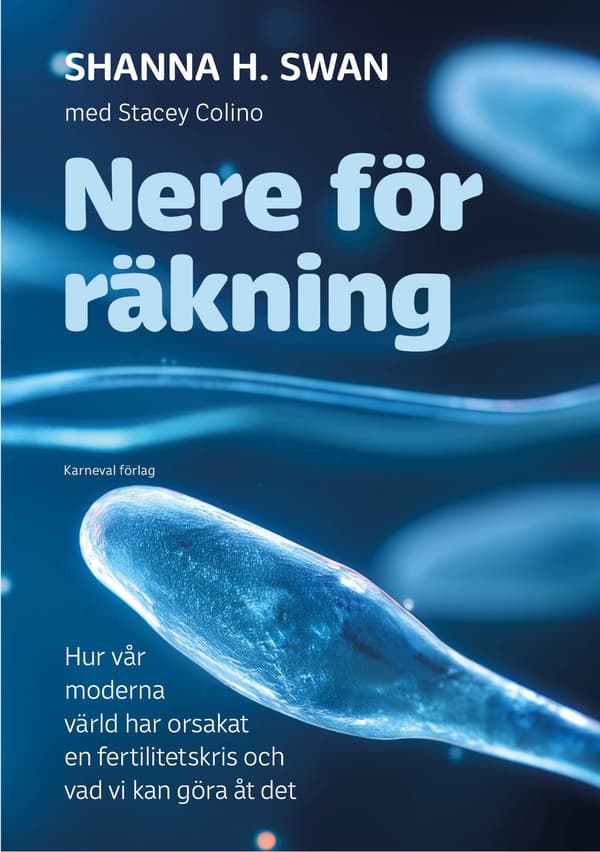 Nere För Räkning (Bok / Inbunden)